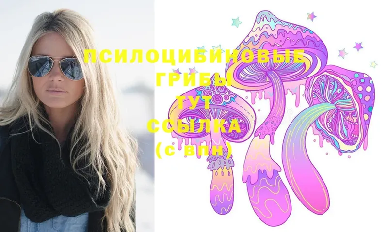 где продают   Карпинск  Галлюциногенные грибы Psilocybe 